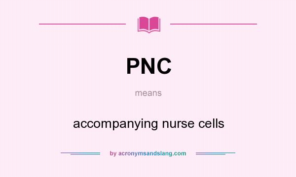 What does PNC mean? It stands for accompanying nurse cells