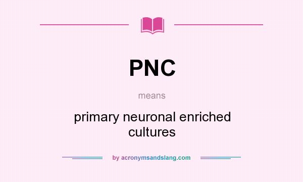 What does PNC mean? It stands for primary neuronal enriched cultures
