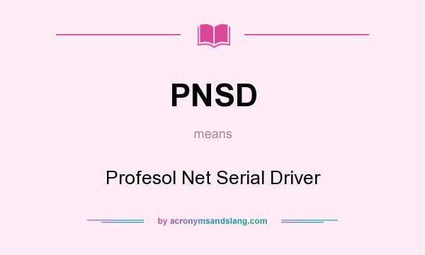 What does PNSD mean? It stands for Profesol Net Serial Driver
