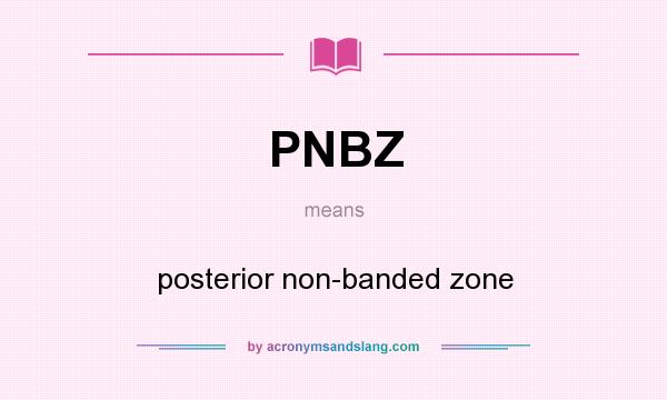 What does PNBZ mean? It stands for posterior non-banded zone