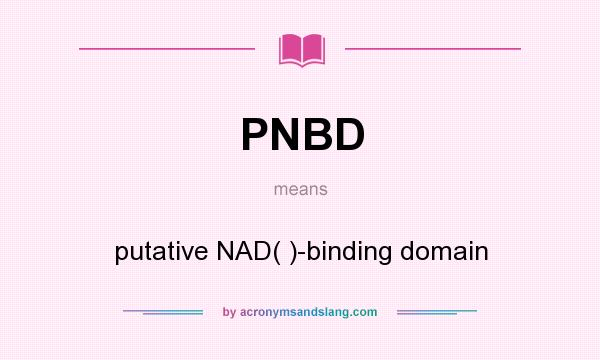 What does PNBD mean? It stands for putative NAD( )-binding domain