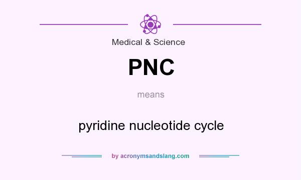 What does PNC mean? It stands for pyridine nucleotide cycle