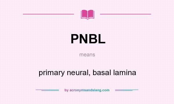 What does PNBL mean? It stands for primary neural, basal lamina