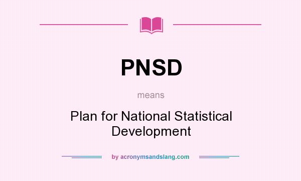 What does PNSD mean? It stands for Plan for National Statistical Development
