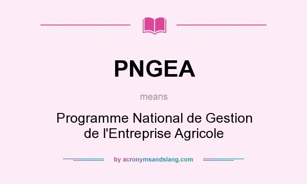 What does PNGEA mean? It stands for Programme National de Gestion de l`Entreprise Agricole