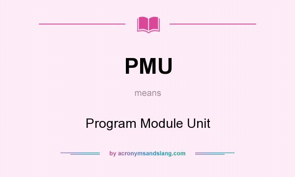 What does PMU mean? It stands for Program Module Unit