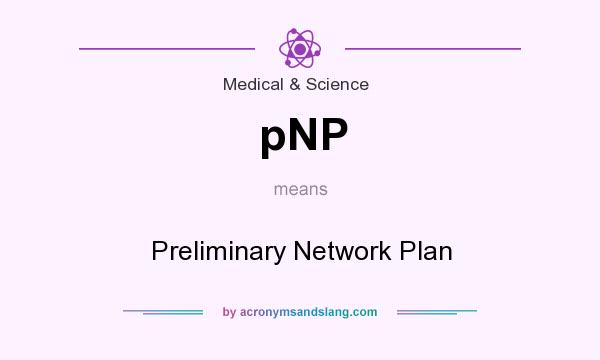 What does pNP mean? It stands for Preliminary Network Plan