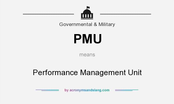What does PMU mean? It stands for Performance Management Unit