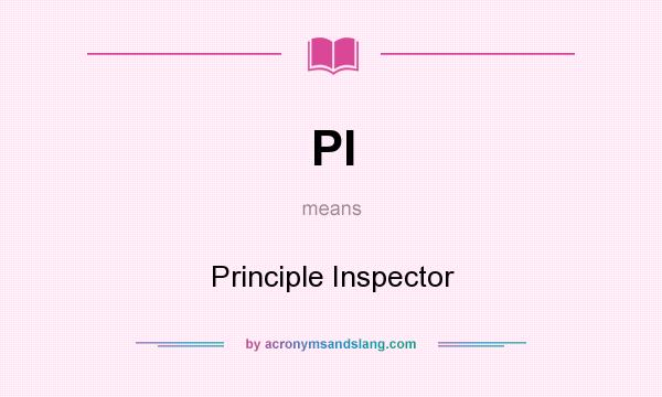 What does PI mean? It stands for Principle Inspector