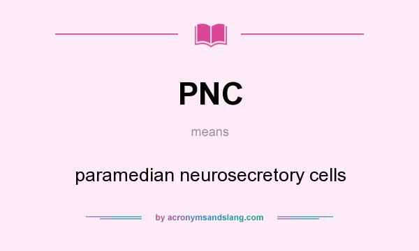 What does PNC mean? It stands for paramedian neurosecretory cells