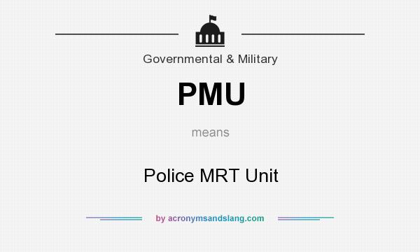 What does PMU mean? It stands for Police MRT Unit