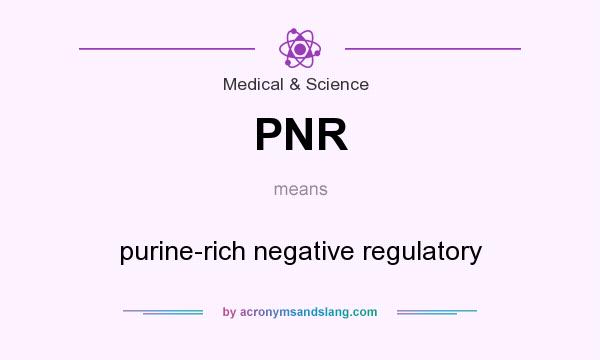 What does PNR mean? It stands for purine-rich negative regulatory