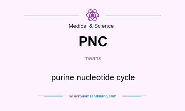 What does PNC mean? It stands for purine nucleotide cycle