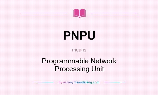 What does PNPU mean? It stands for Programmable Network Processing Unit