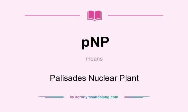 What does pNP mean? It stands for Palisades Nuclear Plant