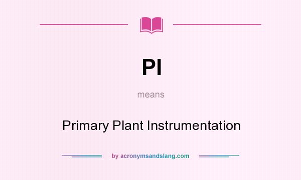 What does PI mean? It stands for Primary Plant Instrumentation