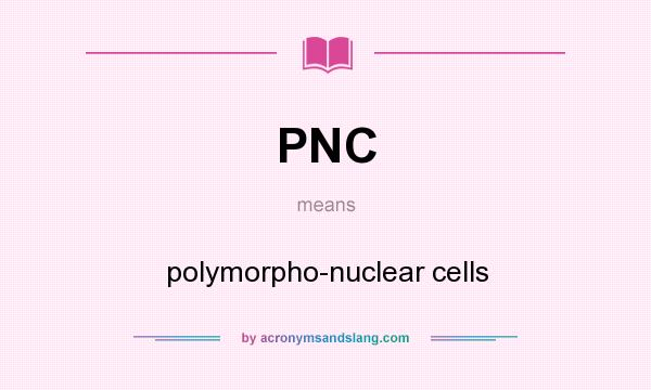 What does PNC mean? It stands for polymorpho-nuclear cells