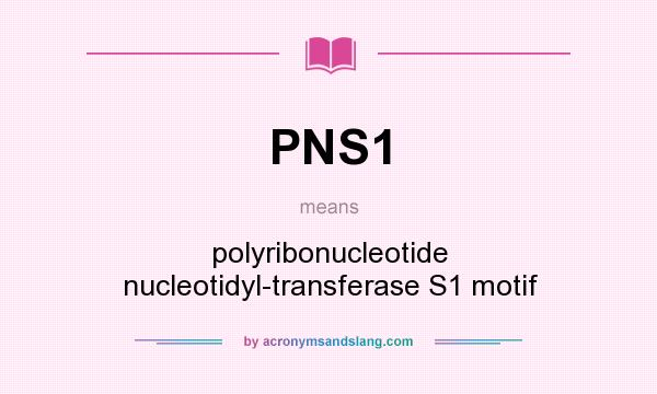 What does PNS1 mean? It stands for polyribonucleotide nucleotidyl-transferase S1 motif