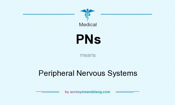 What does PNs mean? It stands for Peripheral Nervous Systems