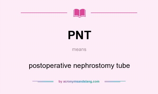 What does PNT mean? It stands for postoperative nephrostomy tube