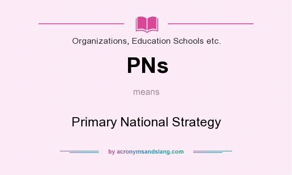 What does PNs mean? It stands for Primary National Strategy