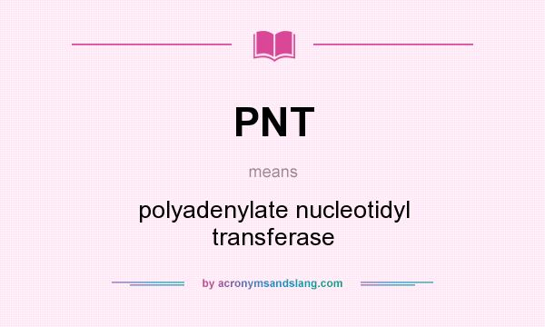 What does PNT mean? It stands for polyadenylate nucleotidyl transferase