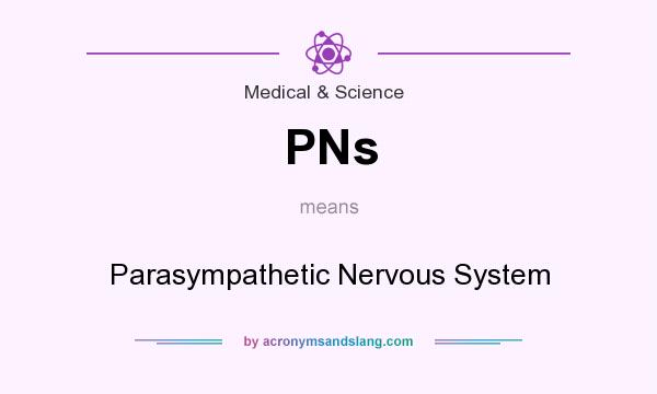What does PNs mean? It stands for Parasympathetic Nervous System