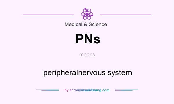 What does PNs mean? It stands for peripheralnervous system