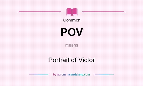 What does POV mean? It stands for Portrait of Victor