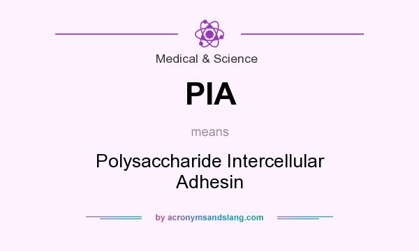 What does PIA mean? It stands for Polysaccharide Intercellular Adhesin