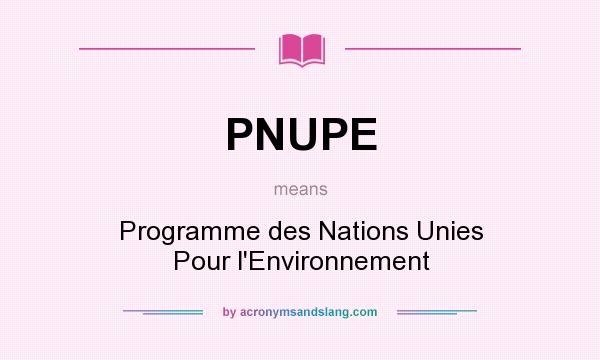What does PNUPE mean? It stands for Programme des Nations Unies Pour l`Environnement