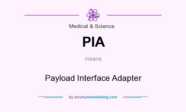 What does PIA mean? It stands for Payload Interface Adapter