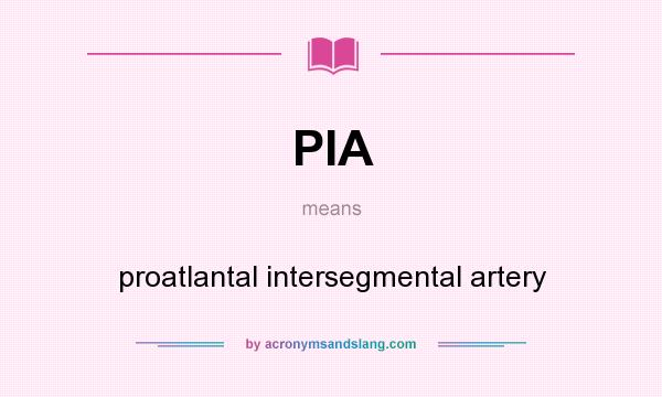 What does PIA mean? It stands for proatlantal intersegmental artery