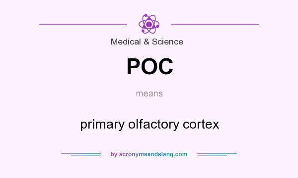 What does POC mean? It stands for primary olfactory cortex