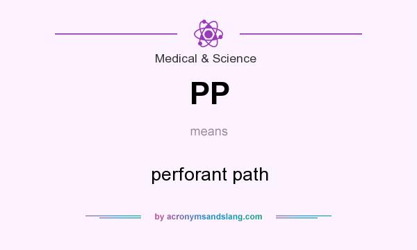 What does PP mean? It stands for perforant path