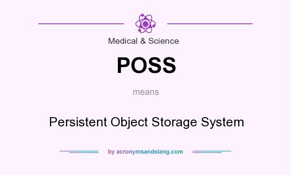 What does POSS mean? It stands for Persistent Object Storage System
