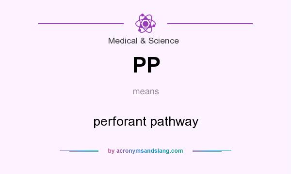 What does PP mean? It stands for perforant pathway