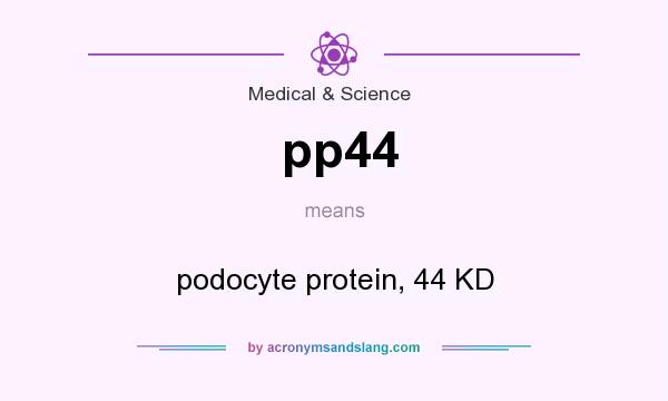 What does pp44 mean? It stands for podocyte protein, 44 KD