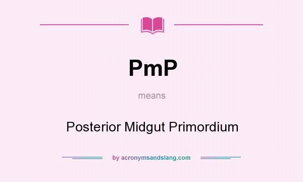 What does PmP mean? It stands for Posterior Midgut Primordium