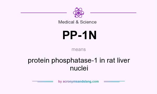 What does PP-1N mean? It stands for protein phosphatase-1 in rat liver nuclei