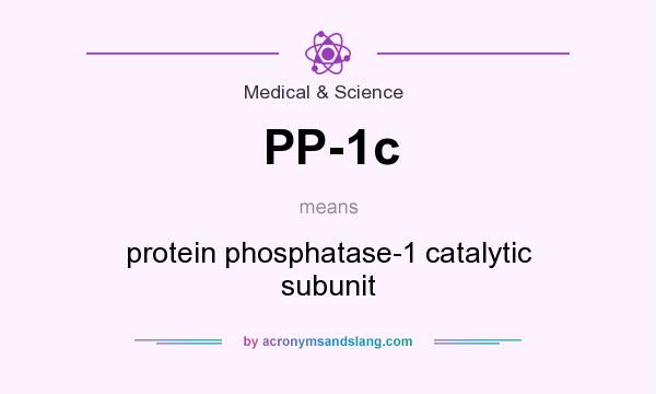What does PP-1c mean? It stands for protein phosphatase-1 catalytic subunit