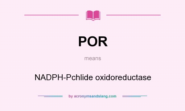 What does POR mean? It stands for NADPH-Pchlide oxidoreductase