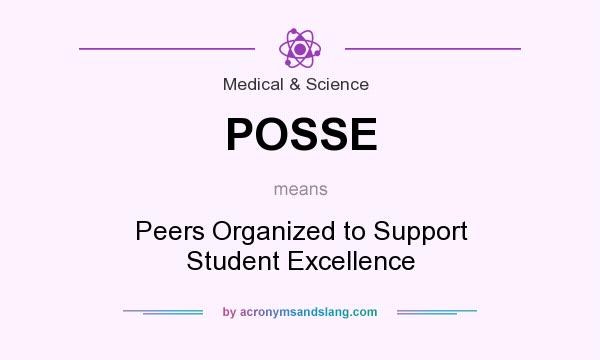 What does POSSE mean? It stands for Peers Organized to Support Student Excellence