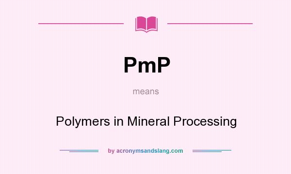 What does PmP mean? It stands for Polymers in Mineral Processing