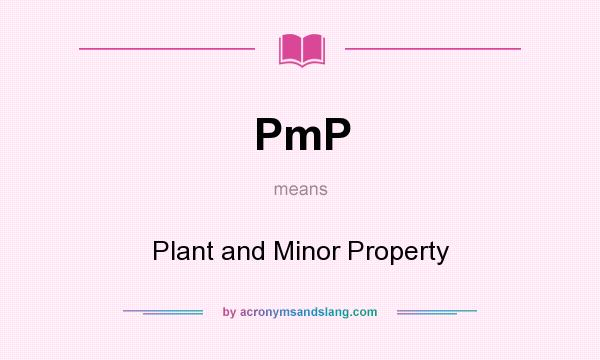 What does PmP mean? It stands for Plant and Minor Property