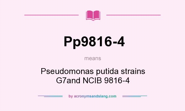 What does Pp9816-4 mean? It stands for Pseudomonas putida strains G7and NCIB 9816-4