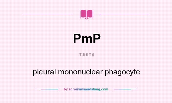 What does PmP mean? It stands for pleural mononuclear phagocyte