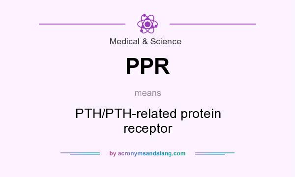 What does PPR mean? It stands for PTH/PTH-related protein receptor