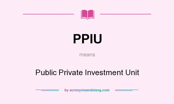What does PPIU mean? It stands for Public Private Investment Unit