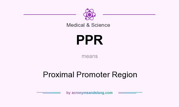 What does PPR mean? It stands for Proximal Promoter Region